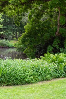 Tiergarten parkında yürü