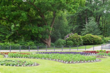 Tiergarten parkında yürü