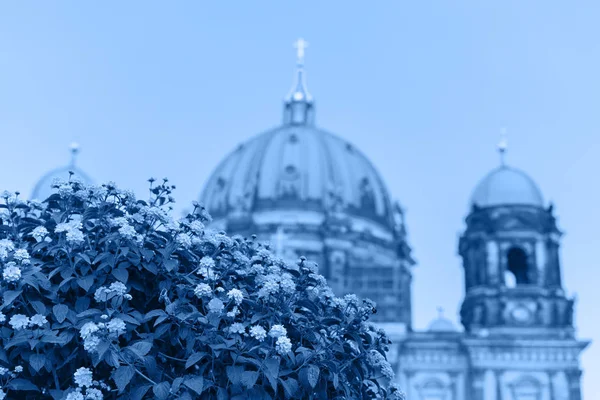 Berliner Dom na Ilha do Museu na cor azul da moda — Fotografia de Stock