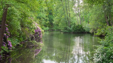 Tiergarten parkında yürü