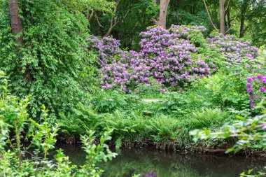 Tiergarten parkında yürü