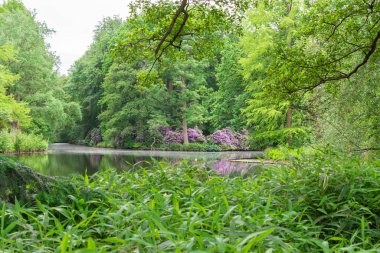 Tiergarten parkında yürü
