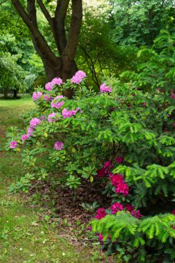 Park Volkspark Friedrichshain, Berlin