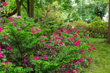 Park Volkspark Friedrichshain, Berlin