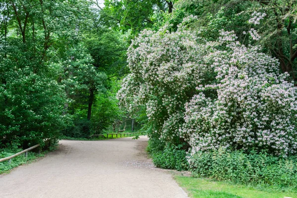 Walk through the Tiergarten park