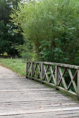 Charlottenburg 'un saray bahçesinde yürüyorum.