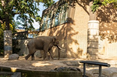 Berlin Hayvanat Bahçesi
