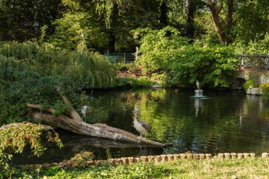 Berlin Hayvanat Bahçesi
