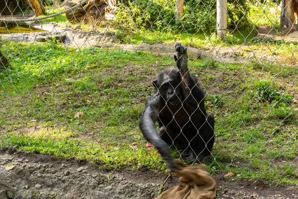 Berlin Zoological Garden