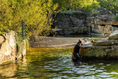 Berlin Hayvanat Bahçesi