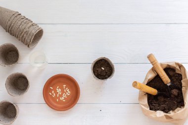 Tohumlar için çevre dostu tencereler ve toprak ve bahçe küreği ile küçük bir çanta ve beyaz ahşap arka planda tırmıklar, salatalık tohumları ekme, üst görünüm