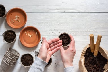 Tohumlar için çevre dostu tencereler