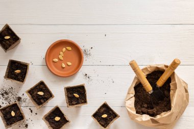 Tohumlar için çevre dostu tencereler