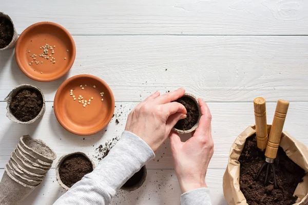 Pots écologiques pour les semis — Photo