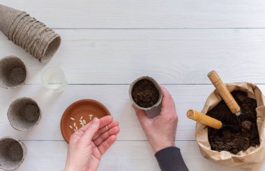 Tohumlar için çevre dostu çömlekler ve zemin ile küçük bir çanta ve beyaz ahşap arka planda bir bahçe küreği, tırmık ve çekirdekli dişi eller, salatalık tohumu ekme, üst görünüm