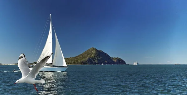 Jacht segelt am Yacaaba-Kopf vorbei - Port stephens. — Stockfoto