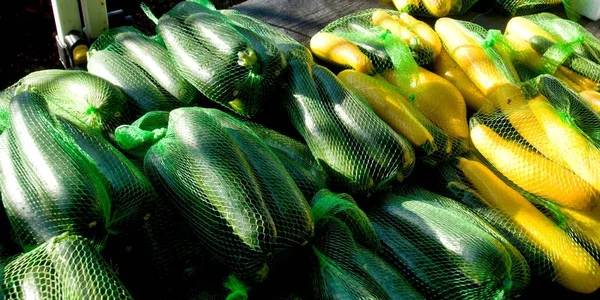 Kabak taze sebze topluluğu.