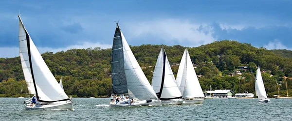 Cinco veleiros monocasco correndo em Brisbane Water . — Fotografia de Stock