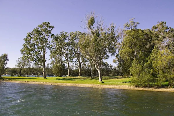 Landscape Waterscape, Rathmines Park, Lake macquarie. — Stock Photo, Image