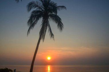 Huay Yang 'da palmiye ağaçları ile tropik egzotik gündoğumu deniz manzarası