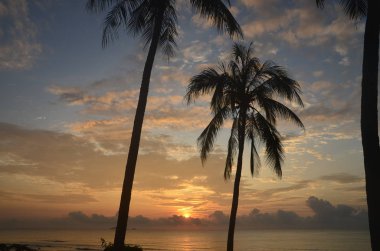 Huay Yang 'da palmiye ağaçları ile tropik egzotik gündoğumu deniz manzarası