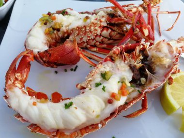 Cosica. Kerevit. 2019 yazı. 