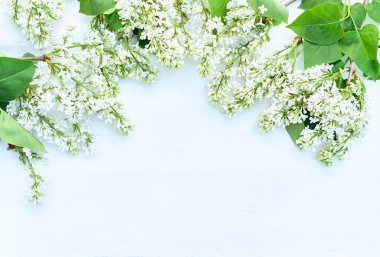 Beyaz ahşap arka planda leylak çiçekleri. Üst manzara, düz uzanma.