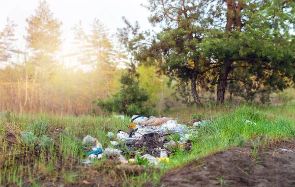 Ormanda çöp. İnsanlar yasadışı olarak ormana çöp atıyorlar. Doğadaki yasadışı çöplük. Kirli çevre kirliliği