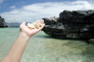 Tatil. Adam bir kabuk ve mercan holding.