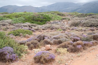 Tatil ve tatil. Crete. 