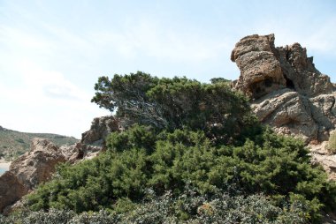 Tatil ve tatil. Crete. 