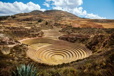 Moray antik İnka tarımsal kalıntıları dairesel teraslarla, Peru.
