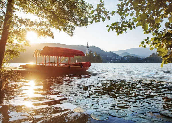 Lodě Jezeře Bled Kostelním Ostrovem Bled Slovinsko Evropa — Stock fotografie