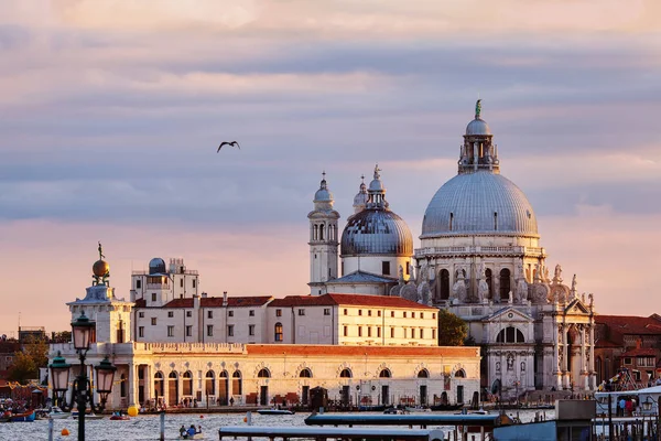 Catedral Santa Maria Della Salute Venecia Italia — Foto de Stock