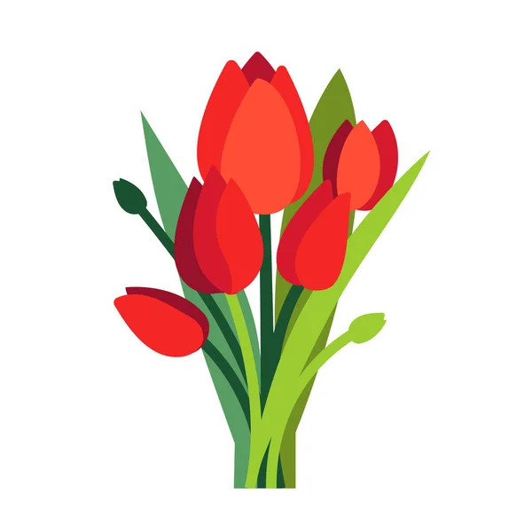 Ilustración vectorial festiva con ramas de flores de tulipán y hojas verdes. Ramo de tulipanes rojos aislados en blanco. Composición floral para un diseño de primavera brillante. Tarjeta de felicitación plantilla. Día de la Mujer — Archivo Imágenes Vectoriales