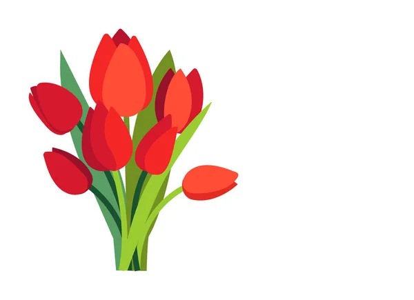 Ilustração do vetor festivo com ramos de flores de tulipa e folhas verdes. Buquê de tulipas vermelhas isoladas em branco. Design de mola floral. Modelo de cartão de saudação com lugar vazio para texto. Dia das mulheres —  Vetores de Stock