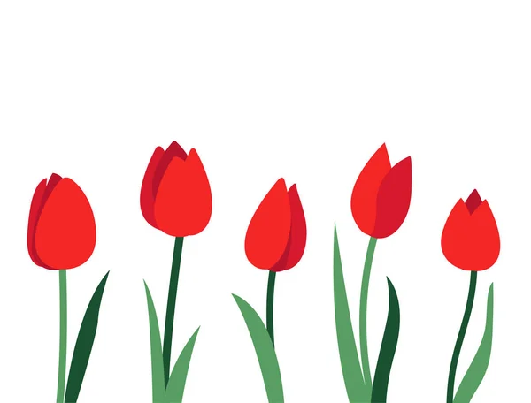 Diseño vectorial brillante con flores de tulipán rojo y hojas verdes aisladas sobre fondo blanco. Lugar vacío para el texto. Concepto de diseño mínimo para banner, oferta de promoción, venta de primavera y verano, publicidad — Archivo Imágenes Vectoriales