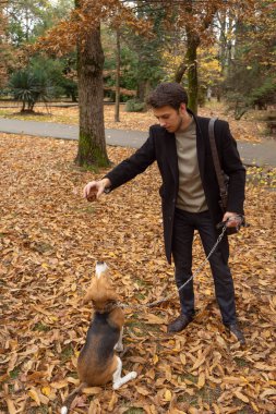 En iyi arkadaşlar köpek yavrusu ve dışarıda yürüyen genç adam.