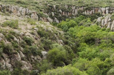 Biopark El Saucillo, su kemerinin tepesinden görkemli manzara