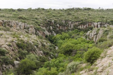 Biopark El Saucillo, su kemerinin tepesinden görkemli manzara