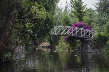 Güzel bir su manzarası, Xochimilco, Meksika 'da bir kanalda köprü.