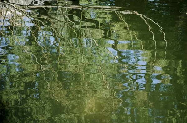 Reflexões sobre a superfície móvel de um lago: verde e um ramo de árvore sem folhas — Fotografia de Stock