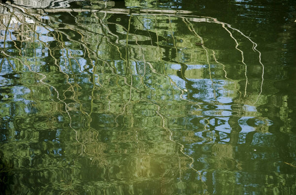 Reflections on the moving surface of a lake: green and a leafless tree branch