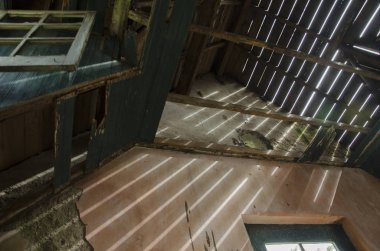 Terk edilmiş bir malikanenin iç manzarası, San Francisco Kalesi.