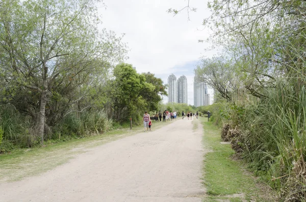 Path of Costanera Sur ecological reserve and modern buildings of Puerto Madero — 스톡 사진