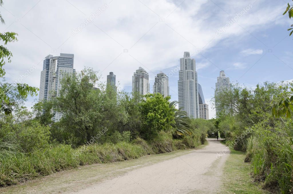 Path of Costanera Sur ecological reserve and modern buildings of Puerto Madero