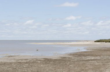 Punta Rasa, Arjantin, plaj manzarası, boş; siyah salyangoz yumurtalı kum