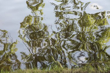 Doğanın soyutlanması, suyun yüzeyindeki yansıma, akarsuyun kıyısındaki yansıma.