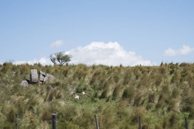 Arjantin, Cordoba 'da güneşli yaz manzarası