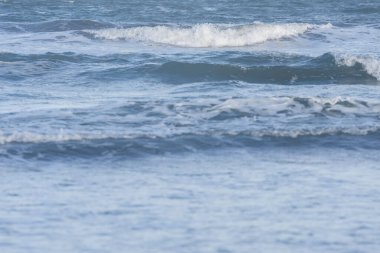 Deniz müfrezesi, hareketli su, Arjantin 'in Buenos Aires eyaleti Mar del Plata' da sakin bir denizin küçük dalgaları.